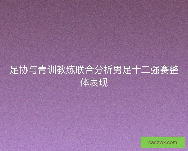 足协与青训教练联合分析男足十二强赛整体表现